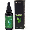 CHLOROPHYLL CONCENTRATE