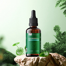 CHLOROPHYLL CONCENTRATE